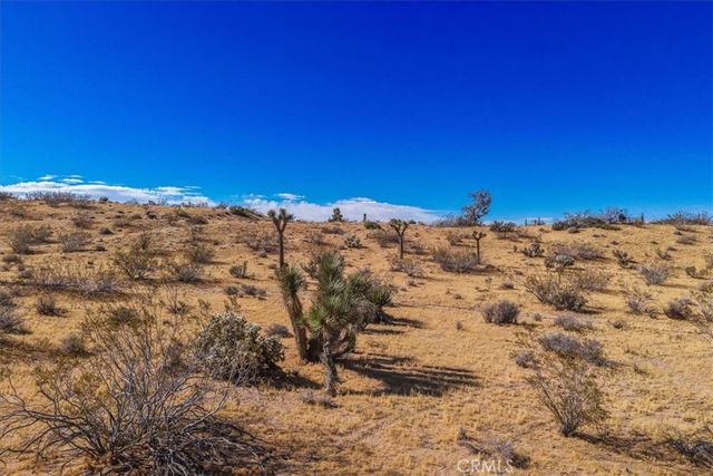 56666 Lowe Avenue, Yucca Valley, CA 92284