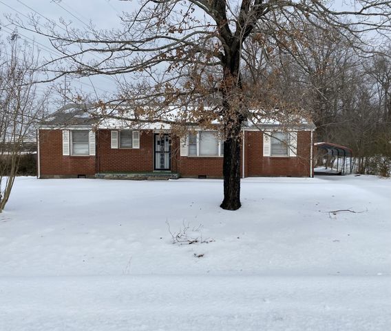 495 Carman Ave, New Johnsonville, TN 37134