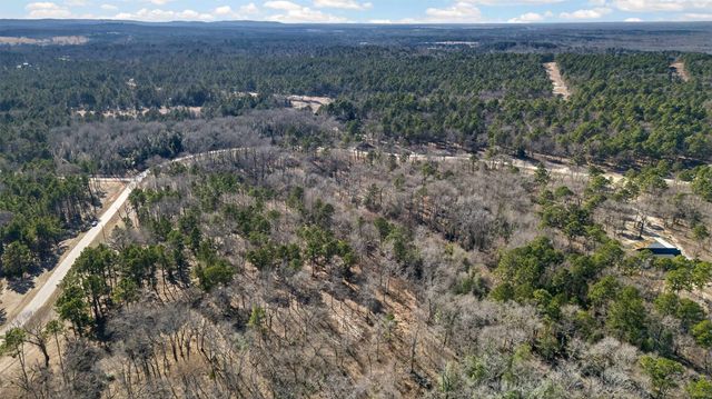 3200 Shadow Pine (LOT 47) Drive, Larue, TX 75770