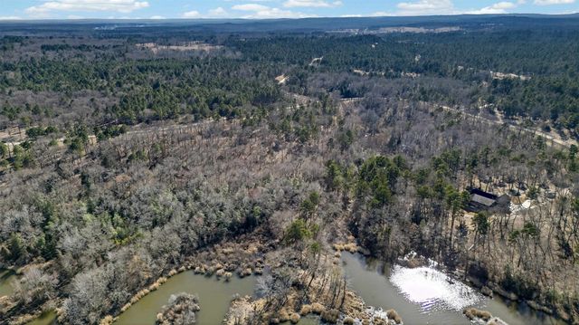 3200 Shadow Pine (LOT 47) Drive, Larue, TX 75770