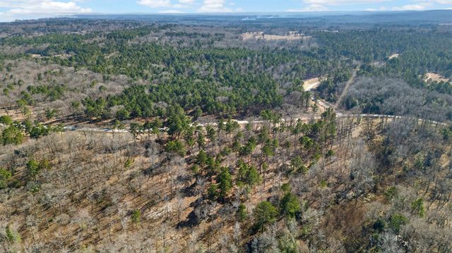 3200 Shadow Pine (LOT 47) Drive, Larue, TX 75770