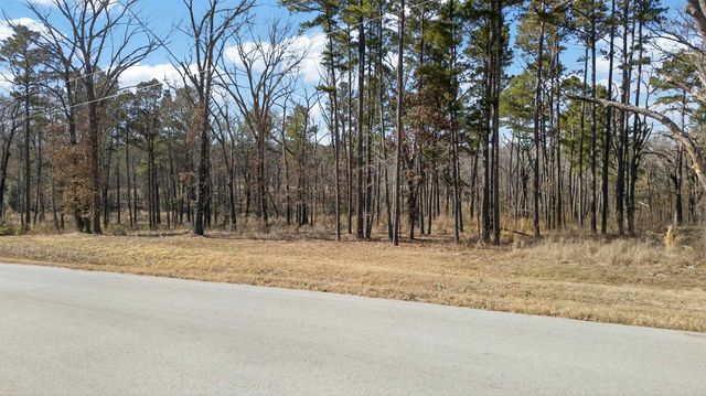 3200 Shadow Pine (LOT 47) Drive, Larue, TX 75770