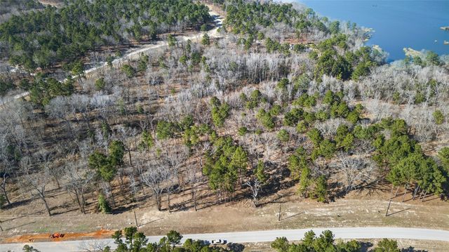 3200 Shadow Pine (LOT 47) Drive, Larue, TX 75770