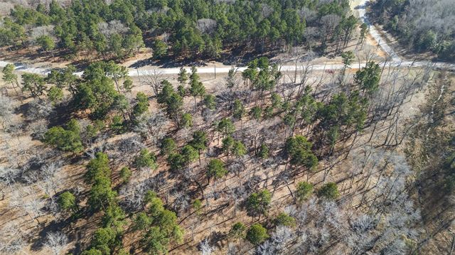 3200 Shadow Pine (LOT 47) Drive, Larue, TX 75770