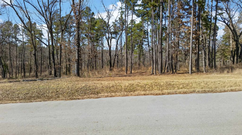 3200 Shadow Pine (LOT 47) Drive, Larue, TX 75770