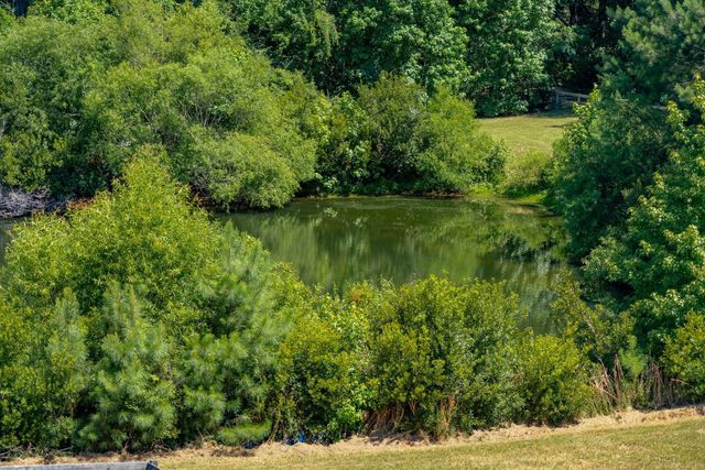 2470 American Classic Tea Lane, Wadmalaw Island, SC 29487