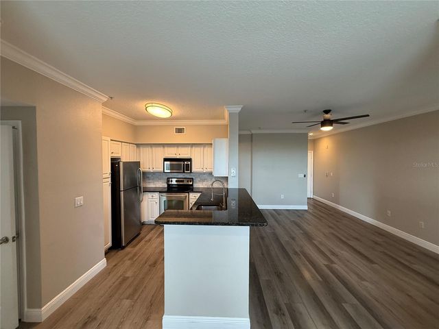 1910 E PALM AVENUE 11321, Tampa, FL 33605
