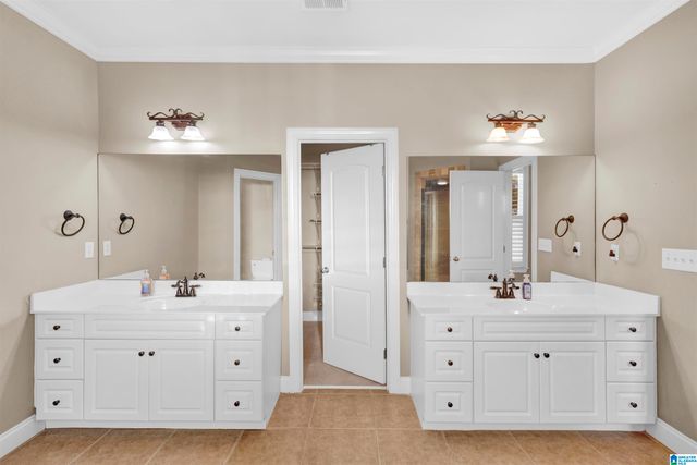 3205 ARBOR HILL TRACE, Hoover, AL 35244