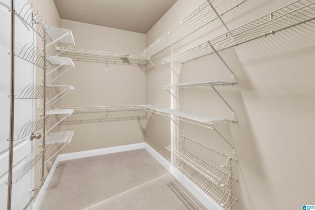 3205 ARBOR HILL TRACE, Hoover, AL 35244