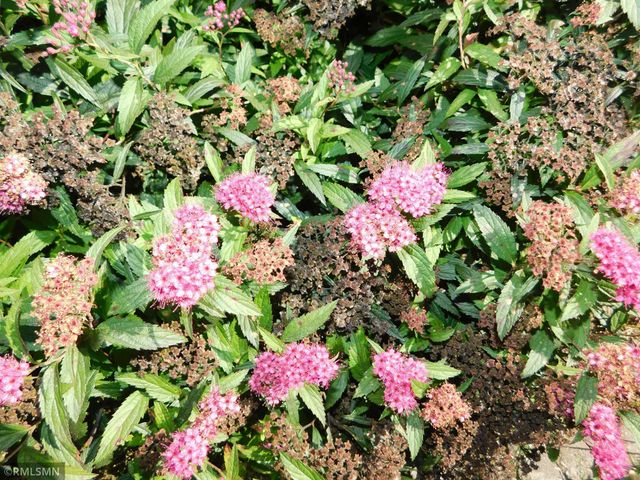 40559 321st Lane, Aitkin, MN 56431