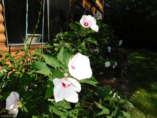 40559 321st Lane, Aitkin, MN 56431