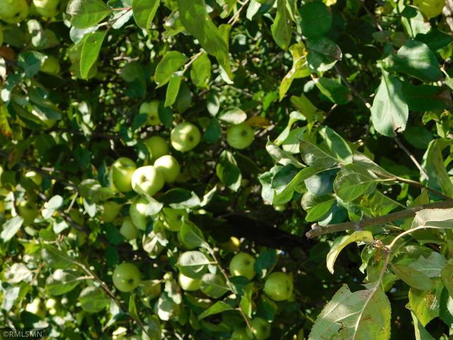 40559 321st Lane, Aitkin, MN 56431