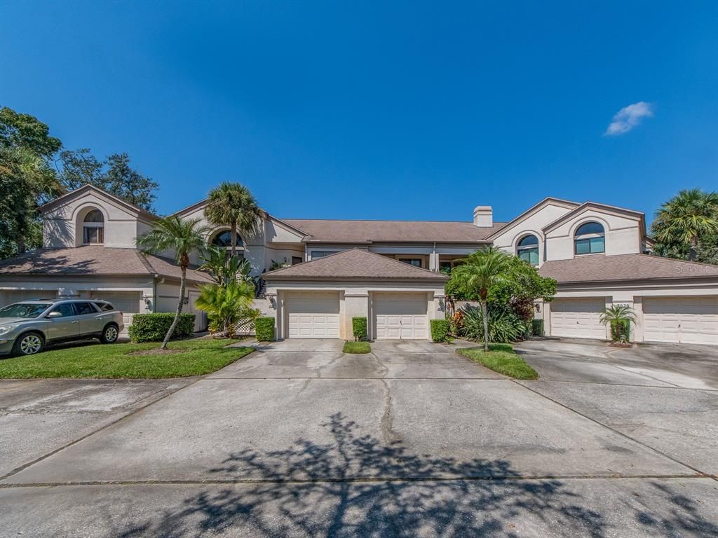 3636 OAK HAVEN DRIVE 102, Palm Harbor, FL 34684