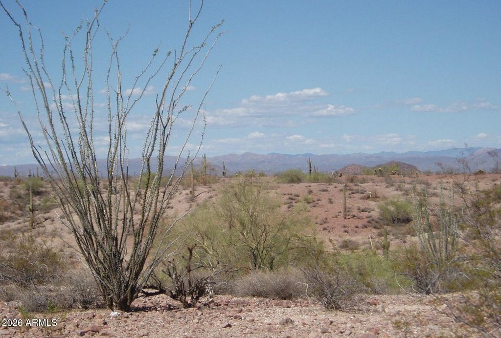 29299 W Villa Cassandra Way 3-19, Unincorporated County, AZ 85361 — photo 2