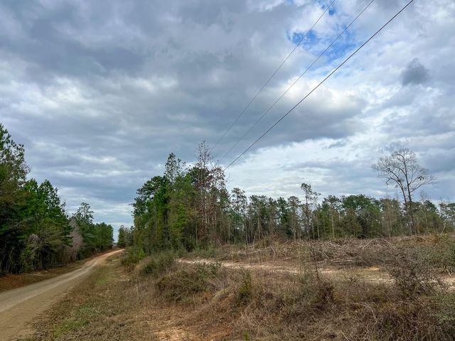 T-4 Cr 4590, Spurger, TX 77660