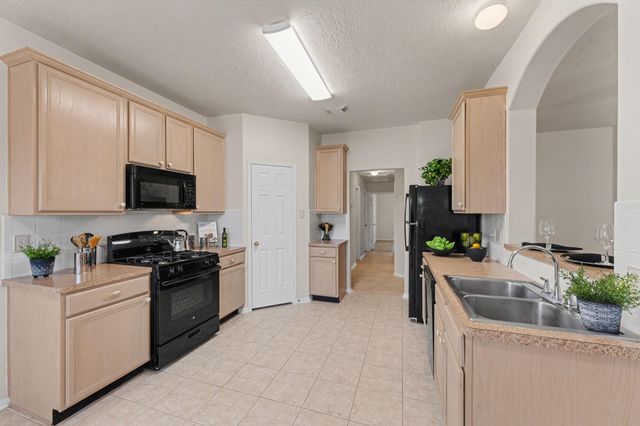 20519 Spring Bluff Lane, Spring, TX 77388