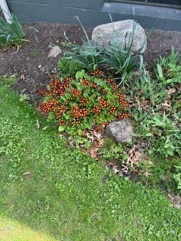 556 Main Street, Ledyard, NY 13026