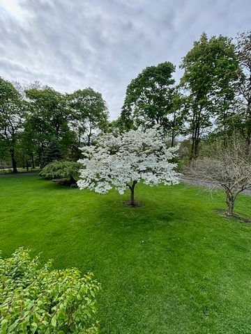 556 Main Street, Ledyard, NY 13026