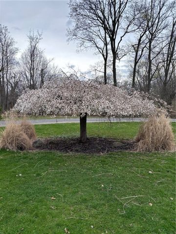 556 Main Street, Ledyard, NY 13026