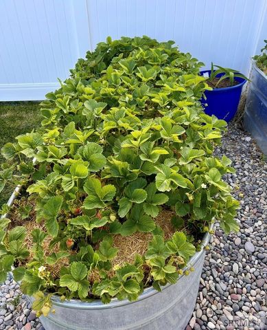 2325 W 860 S, Rexburg, ID 83440