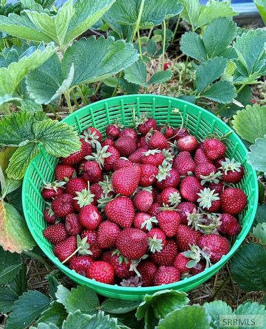 2325 W 860 S, Rexburg, ID 83440