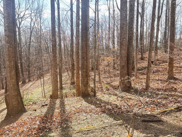 447 Matohe Road, Monroe, VA 24574