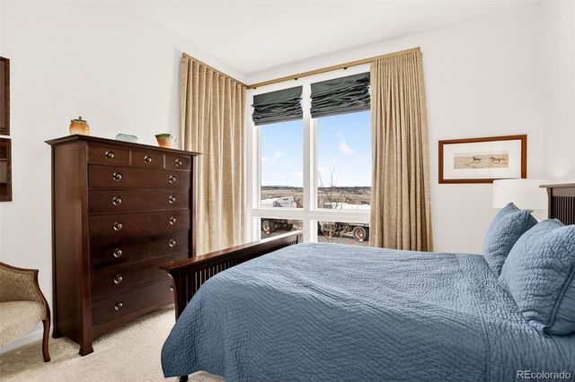 4 Leafy Aster Lane, Castle Rock, CO 80104