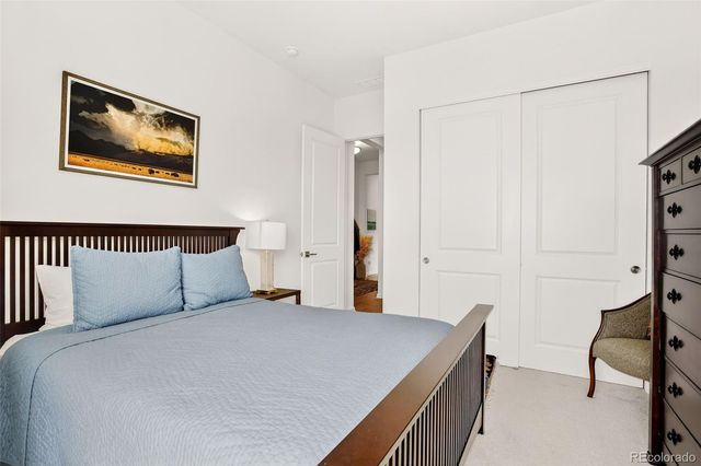 4 Leafy Aster Lane, Castle Rock, CO 80104