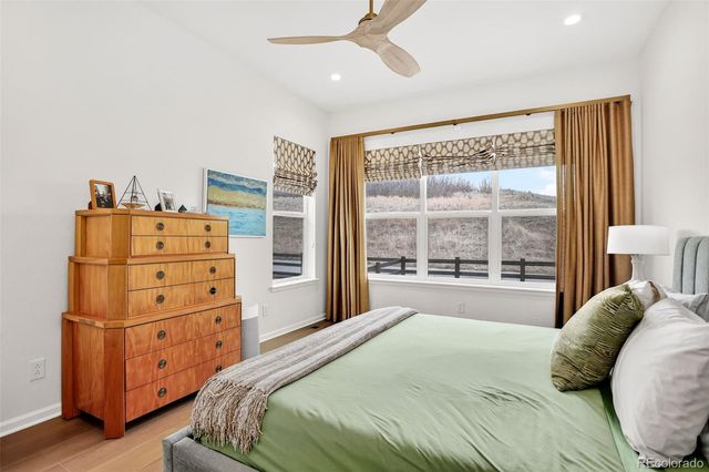 4 Leafy Aster Lane, Castle Rock, CO 80104