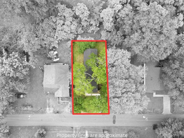 208 Lenox St, Pittsburg, TX 75686