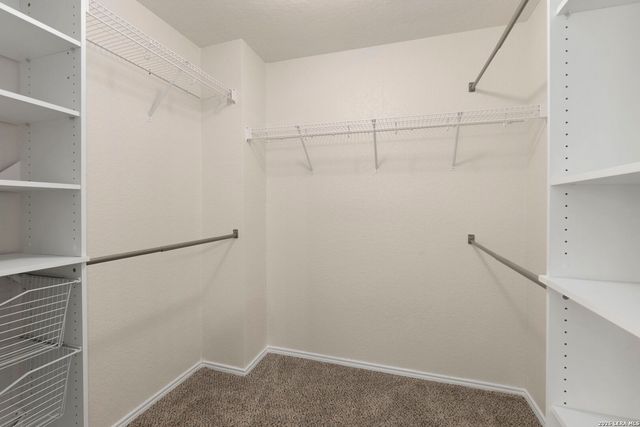 13203 ASBURY VIS, San Antonio, TX 78249