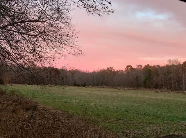 20835 HIGHWAY 64 HWY, Bolivar, TN 38008