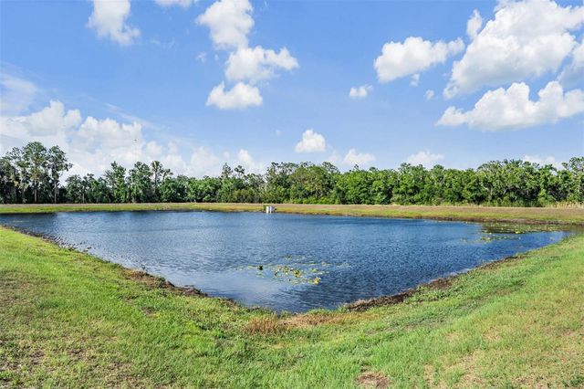 13418 LAKEVIEW OAKS LANE, Riverview, FL 33579