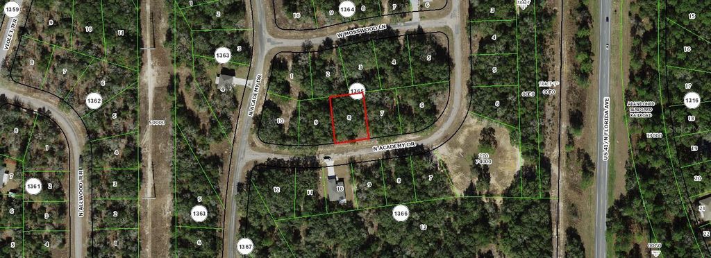 11163 N ACADEMY DRIVE, Citrus Springs, FL 34434