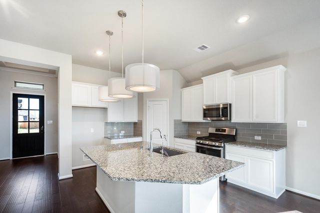 17315 Lynn Orchard Drive, Hockley, TX 77447