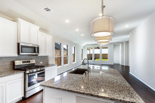 17315 Lynn Orchard Drive, Hockley, TX 77447