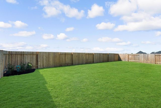 17315 Lynn Orchard Drive, Hockley, TX 77447