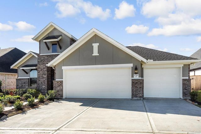 17315 Lynn Orchard Drive, Hockley, TX 77447