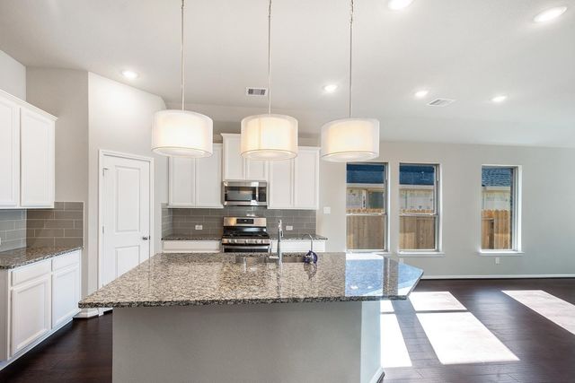 17315 Lynn Orchard Drive, Hockley, TX 77447