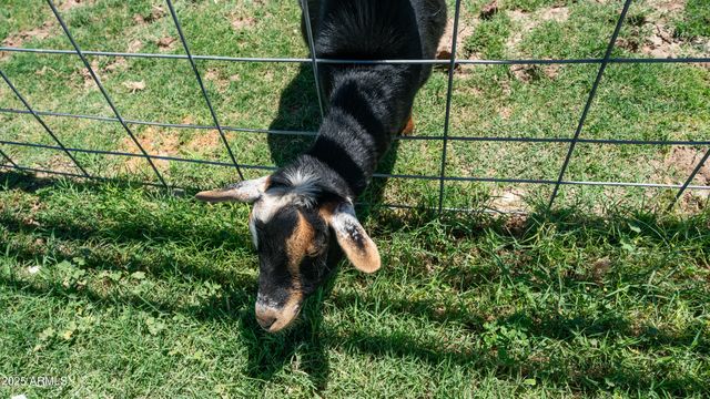 29617 W EAGLE Drive, Palo Verde, AZ 85343