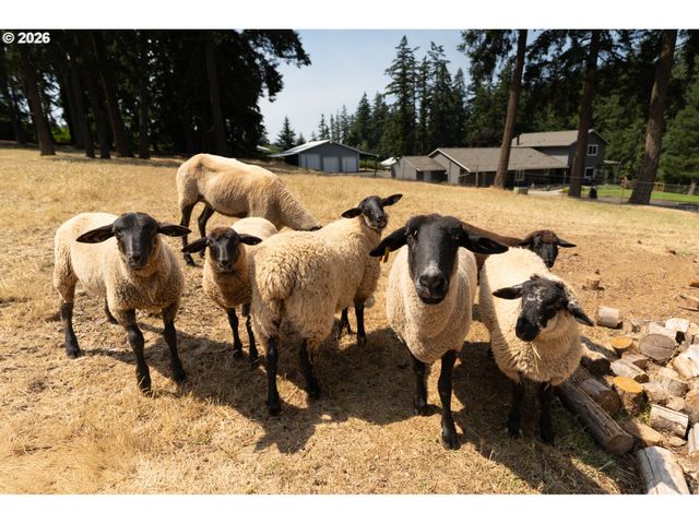 16524 S BRADLEY Rd, Oregon City, OR 97045