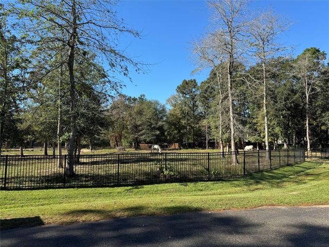 TBD Legacy Court, Magnolia, TX 77355