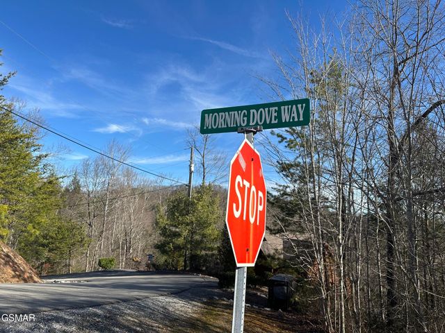 1306 Morning Dove Way, Sevierville, TN 37862
