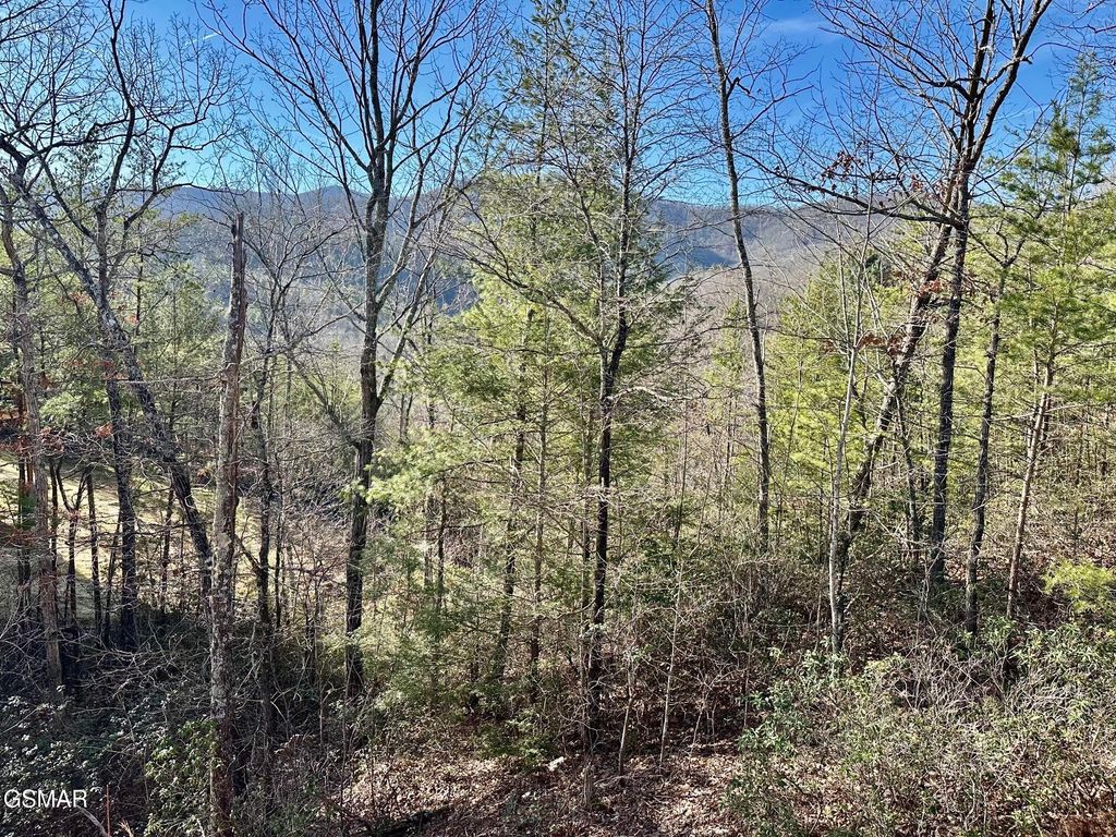 1306 Morning Dove Way, Sevierville, TN 37862