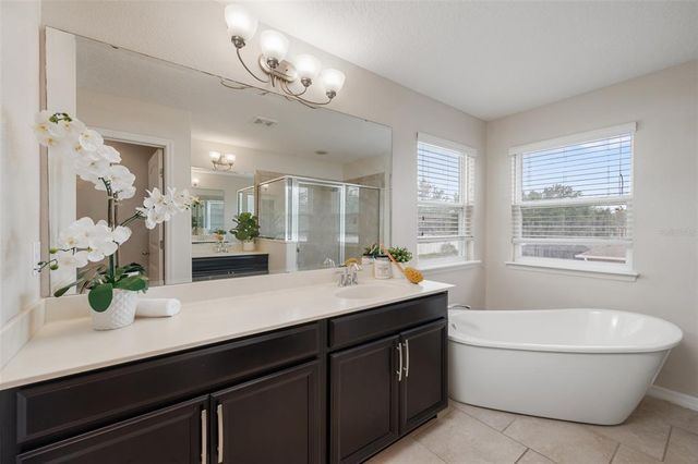 1710 ALEJO DRIVE, Apopka, FL 32712