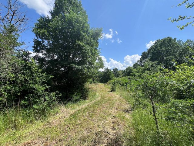 0011 Cr 218 Road, Anderson, TX 77830