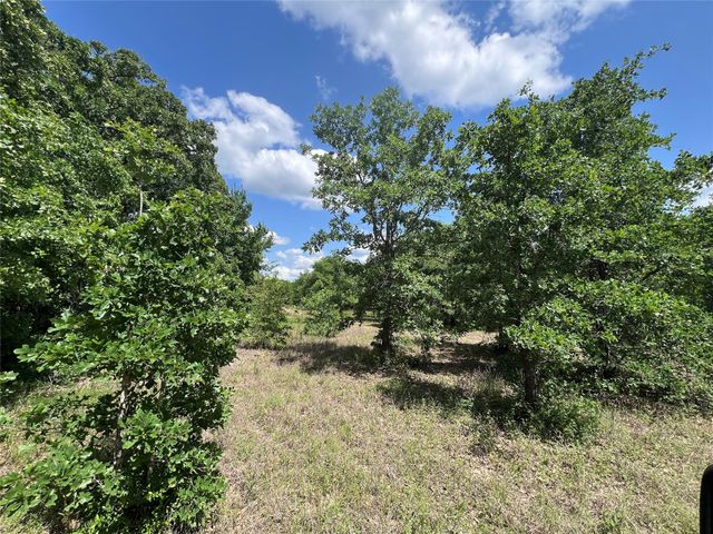 0011 Cr 218 Road, Anderson, TX 77830