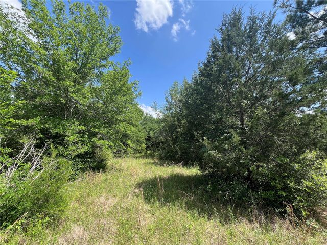 0011 Cr 218 Road, Anderson, TX 77830