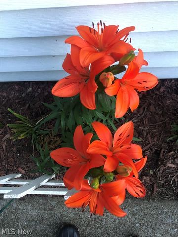 3971 Wooster Road, Fairview Park, OH 44126