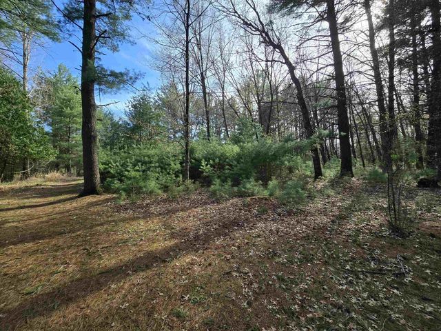 W10962 S CURTIS LAKE LANE, Coloma, WI 54930